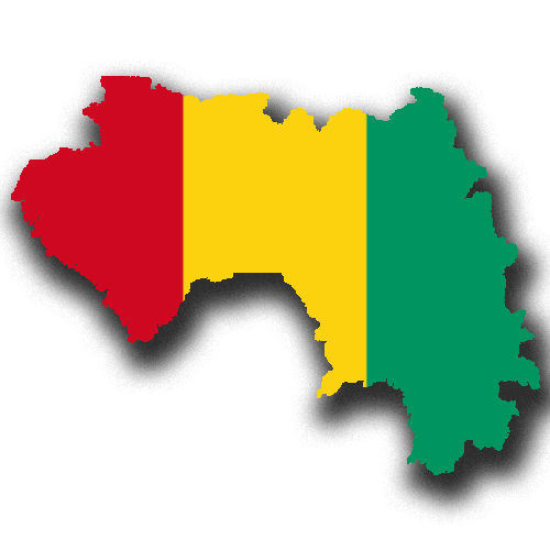 Guinea Mining News